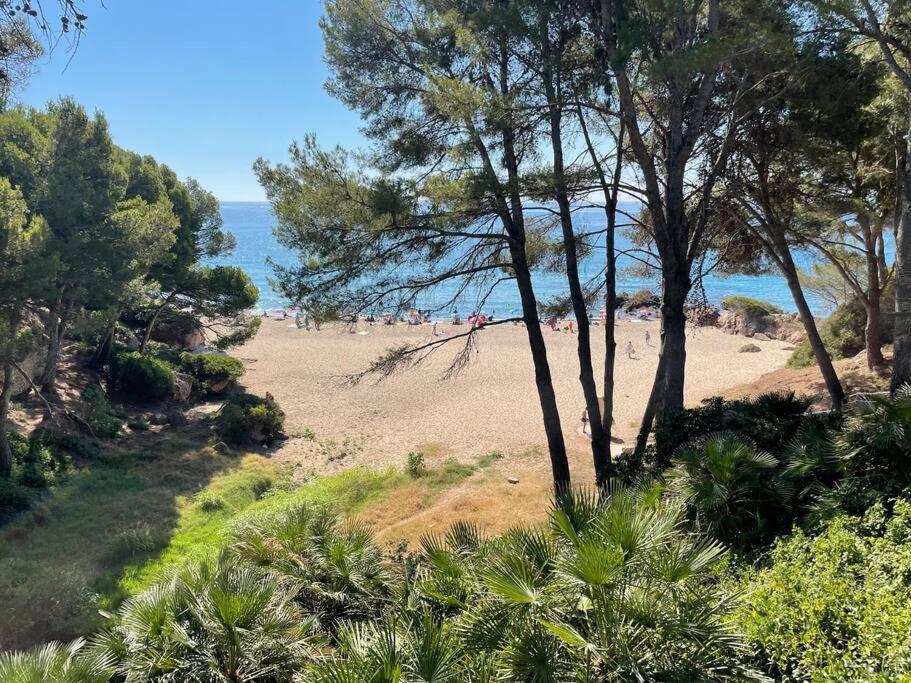 Precioso Apto Miami Primera Linia Playa Cala De Las Sirenas, Con Wifi Y Netflix, Adecuado Para Teletrabajar Miami Playa Eksteriør bilde